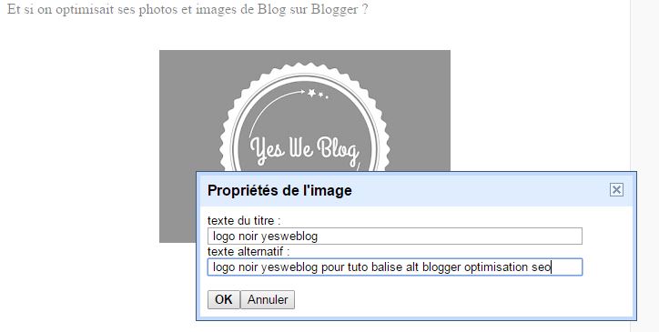 balise-alt-photo-image-blogger
