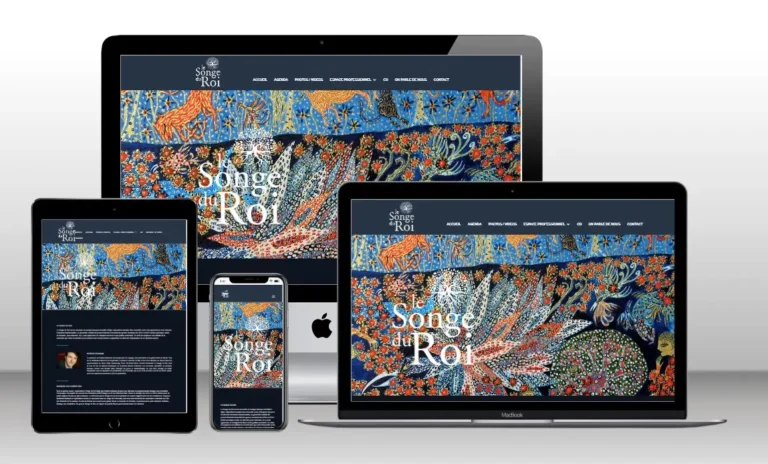 debug newsletter brevo maintenance wordpress dijon