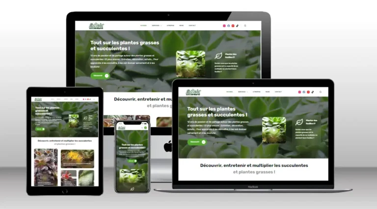 succulentissime v2 refonte