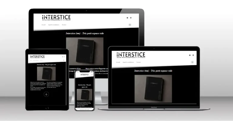 revue interstice accompagnement a la creation du site web associatif