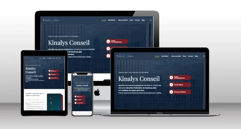 kinalys conseil website
