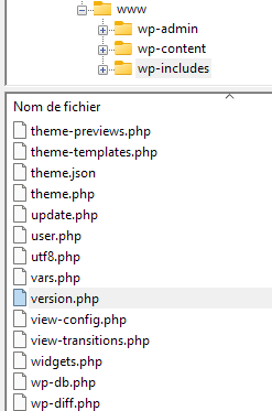 Fichier version.php wordpress