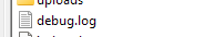 Fichier wordpress debug.log